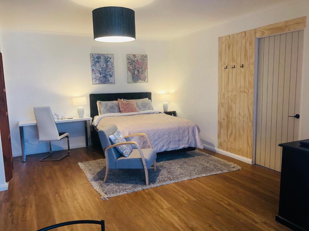 Luxury Studio in Dunedin Central